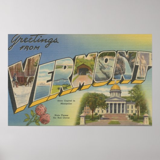 Vermont (Staat Hauptstadt/Blume) - Poster (Vorne)