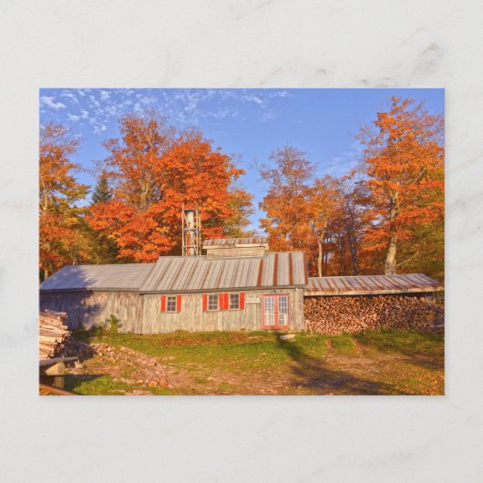 Vermont Sugar House Postkarte (Vorderseite)