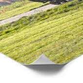 Vermont Tractor Hauling Hay Bales Poster (Ecke)