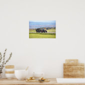Vermont Tractor Hauling Hay Bales Poster (Küche)