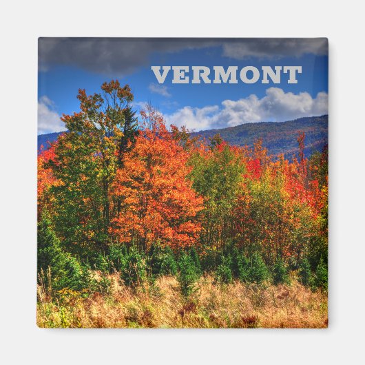 Vermont Travel Magnet zeigt die Farbveränderungen (Vorne)