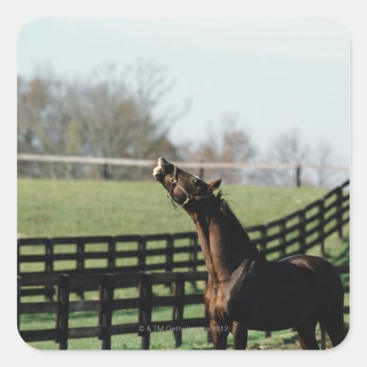 Vermont, USA 2 Quadratischer Aufkleber (Vorderseite)