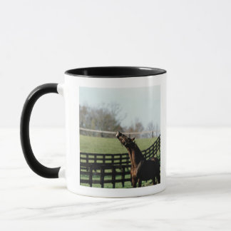 Vermont, USA 2 Tasse