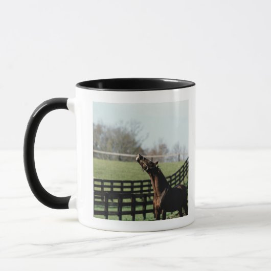 Vermont, USA 2 Tasse (Links)