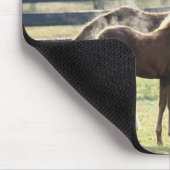 Vermont, USA Mousepad (Ecke)