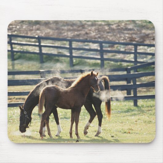 Vermont, USA Mousepad (Vorne)