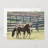 Vermont, USA Postkarte (Vorne/Hinten)