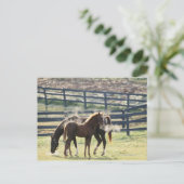 Vermont, USA Postkarte (Stehend Vorderseite)