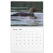 Vermont-wild lebende Tiere Kalender (Feb 2026)