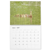 Vermont-wild lebende Tiere Kalender (Mär 2027)
