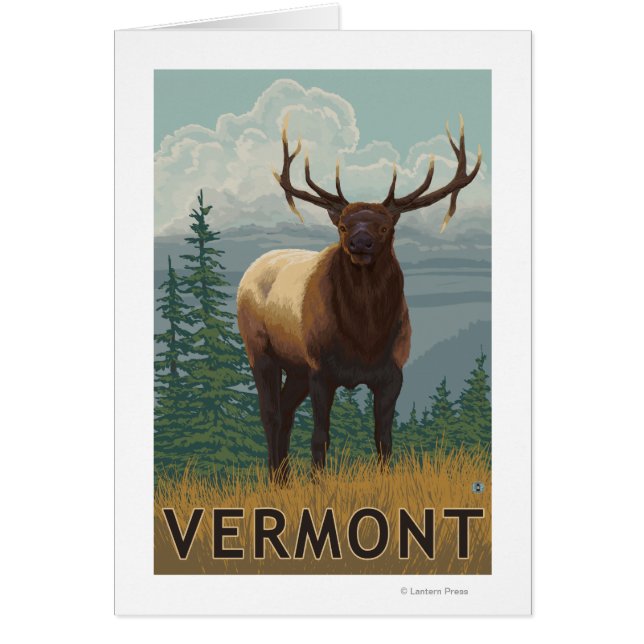 VermontElk Scene (Vorne)