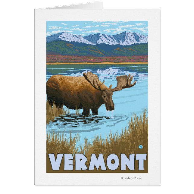 VermontMoose Drink im See (Vorne)