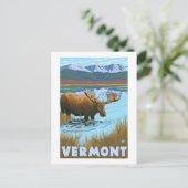 VermontMoose Drink im See Postkarte (Stehend Vorderseite)
