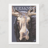VermontMoose Up Nah Postkarte (Vorderseite)