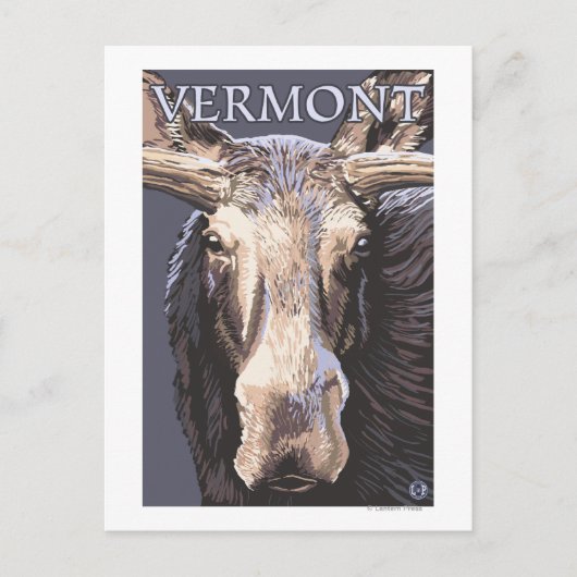 VermontMoose Up Nah Postkarte (Vorderseite)