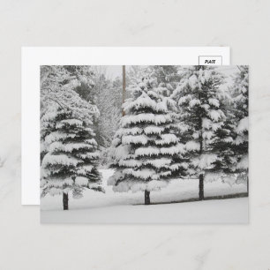 Vermonts Winterwunderland in B&W Postkarte