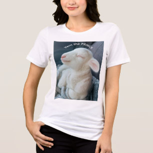 Vern der Prinz eines Lamms auf dem Beifahrersitz Tri-Blend Shirt