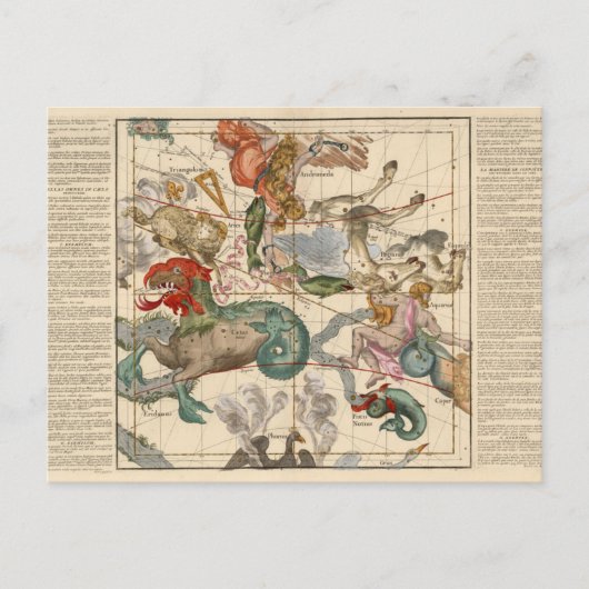 Vernal Equinox Postkarte (Vorderseite)