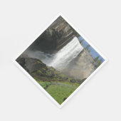 Vernal Falls I in Yosemite National Park Serviette (Ecke)