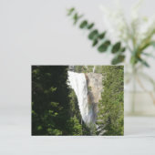 Vernal Falls II. im Yosemite-Nationalpark Postkarte (Stehend Vorderseite)