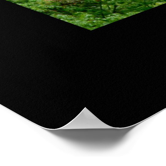 Vernal Falls (Yosemite) Poster (Ecke)