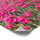 VERNAZZA - Cinque Terre - Panorama - Ligurien - Poster (Ecke)