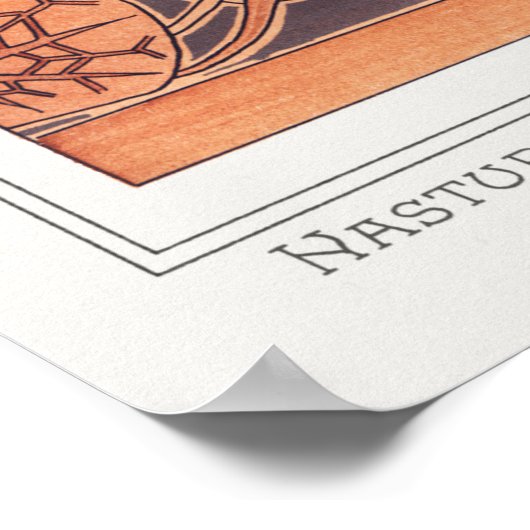 Verneuil, Capucine, Pflanze, Vintager Stil Poster (Ecke)