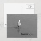 Vernunft Postkarte (Vorne/Hinten)