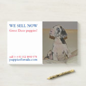 Veröffentlichte E-Mails Post-it Klebezettel (Auf Schreibtisch)