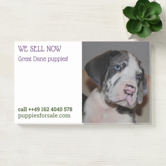 Veröffentlichte E-Mails Post-it Klebezettel (Büro)