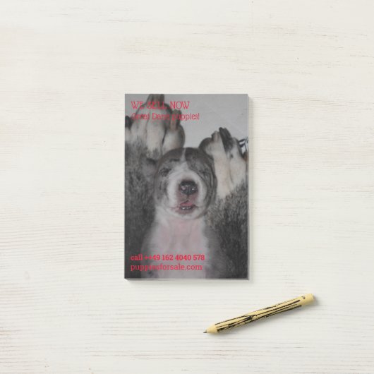 Veröffentlichte E-Mails Post-it Klebezettel (Auf Schreibtisch)