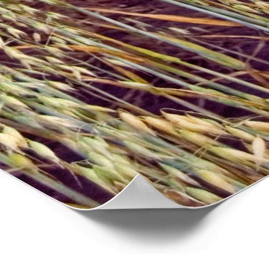 Veröffentlichung Poster (Ecke)