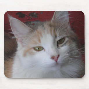 Veronica die schöne - Mousepad