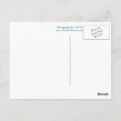 Verpacken Sie Ihre Taschen zu Alaska-Postkarte Postkarte (Rückseite)