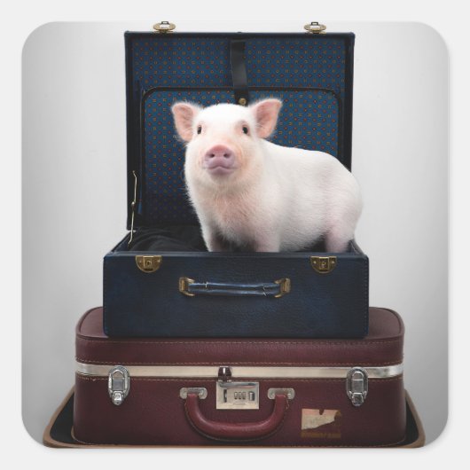 Verpacken von Schweineklebern Quadratischer Aufkleber (Vorderseite)