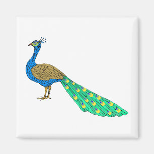 Verpacker-Pfau Magnet