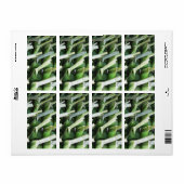 verpackte Bananenleaf-Packungen (Vorne)