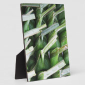 verpackte Bananenleaf-Packungen Fotoplatte (Seite)