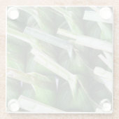 verpackte Bananenleaf-Packungen Glasuntersetzer (Rückseite)