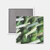 verpackte Bananenleaf-Packungen Magnet (Vorderseite/Rückseite)