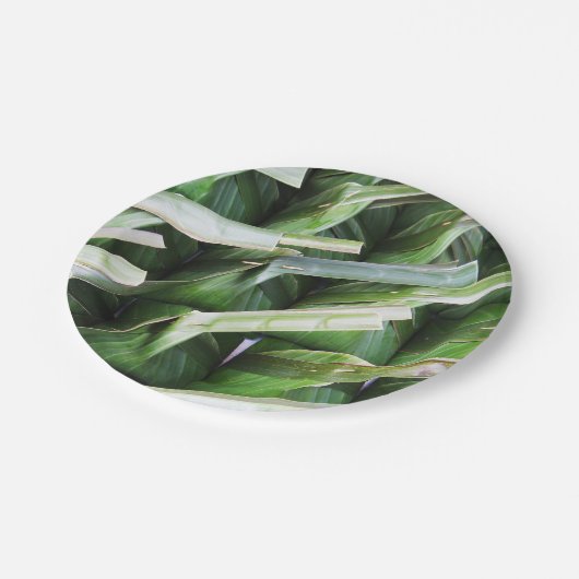 verpackte Bananenleaf-Packungen Pappteller (Schrägansicht)