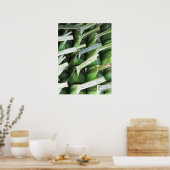 verpackte Bananenleaf-Packungen Poster (Küche)