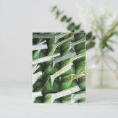 verpackte Bananenleaf-Packungen Postkarte (Stehend Vorderseite)