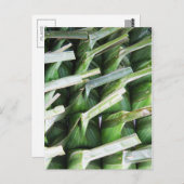 verpackte Bananenleaf-Packungen Postkarte (Vorne/Hinten)
