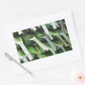 verpackte Bananenleaf-Packungen Rechteckiger Aufkleber (Umschlag)