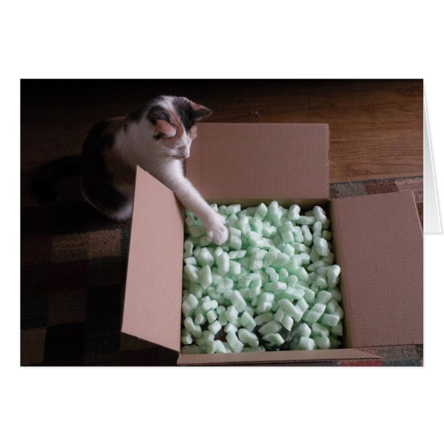 Verpackung mit Karte - Katze (Vorderseite (Horizontal))