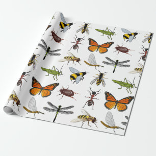 Verpackungs-Papier COOLE INSEKTEN Geschenkpapier