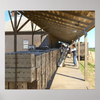 Verpackungsablage für den Versand von Orangen Onta Poster