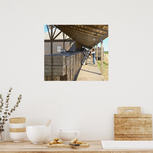 Verpackungsablage für den Versand von Orangen Onta Poster (Küche)