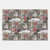 Verpackungspapier Blätter Opossum Natur (Vorderseite 3)